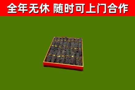 光明回收海参